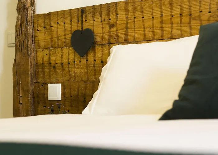 게스트하우스 262 부티크