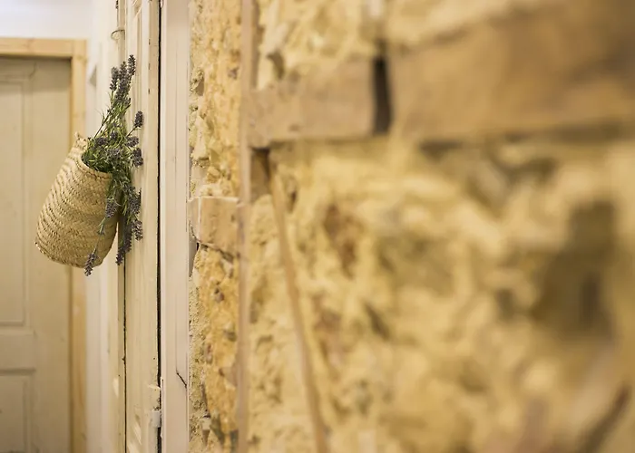 Gasthuis 262 Boutique